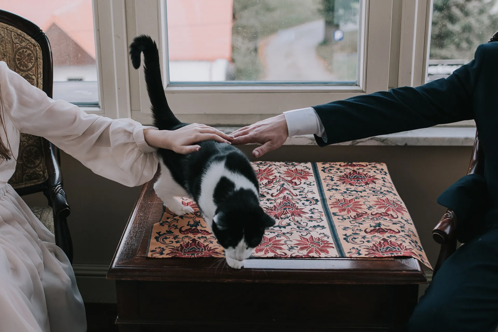 Para młoda głaszcze kotka podczas sesji zdjęciowej wykonanej w Pałacu Bielawa.