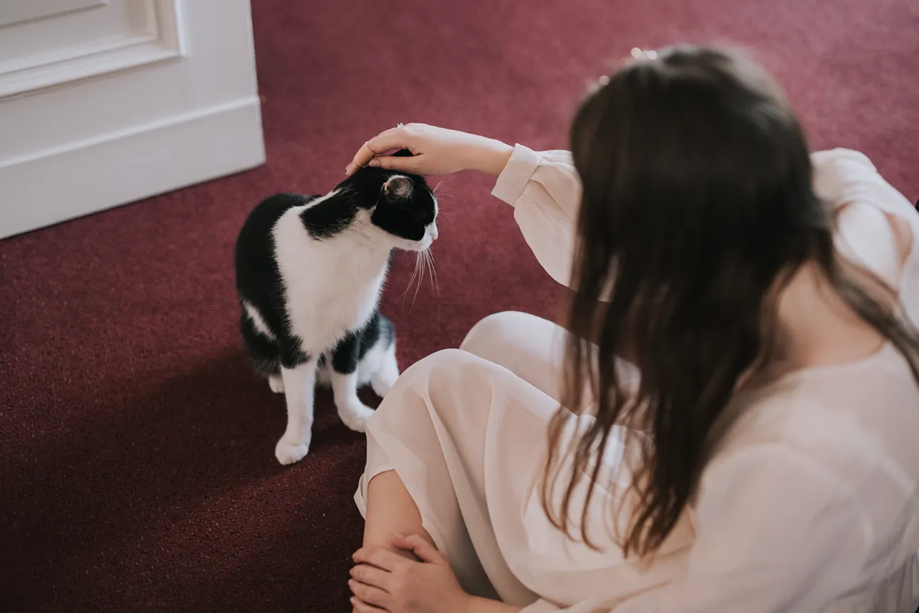 Naturalna panna młoda głaszcze swojego kota w czasie pleneru ślubnego