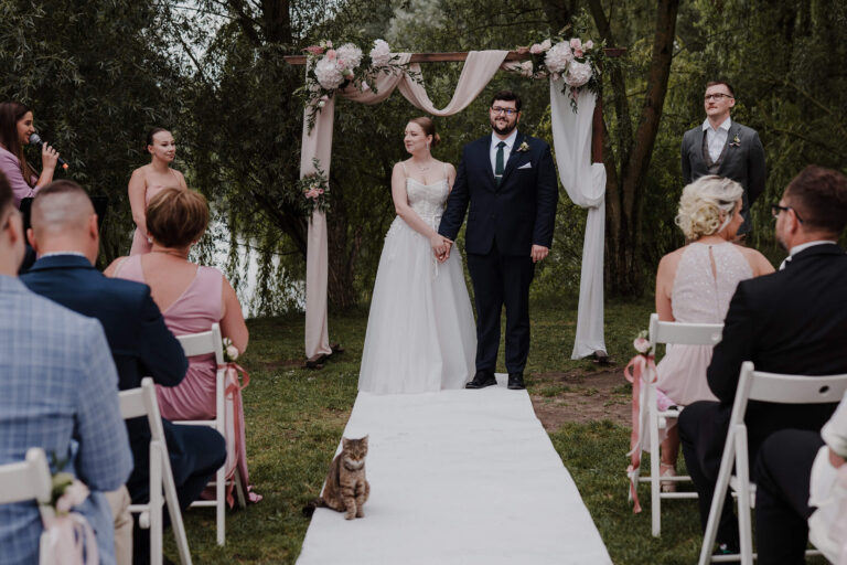 Ślub humanistyczny z motywem kocim | Ewa i Piotr