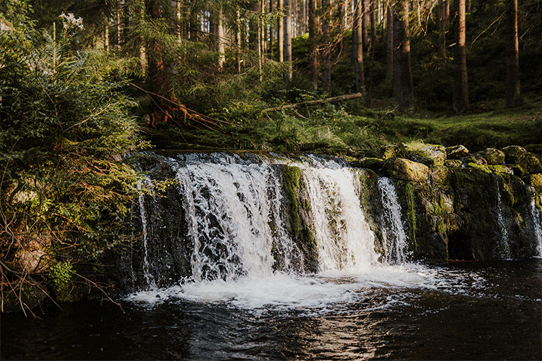 Gif przedstawiający wodospad w jednym z moich ulubionych miejsc na sesje zdjęciowe w okolicy Wrocławia